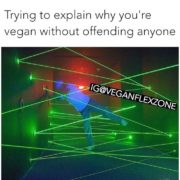 Of The Best Vegan Memes